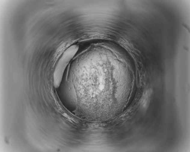 X0000102500241200808151528