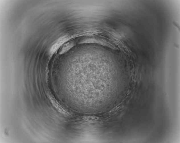 X0000102500242200808151528