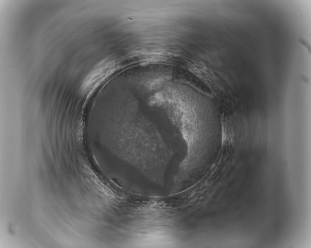 X0000102500243200808151528