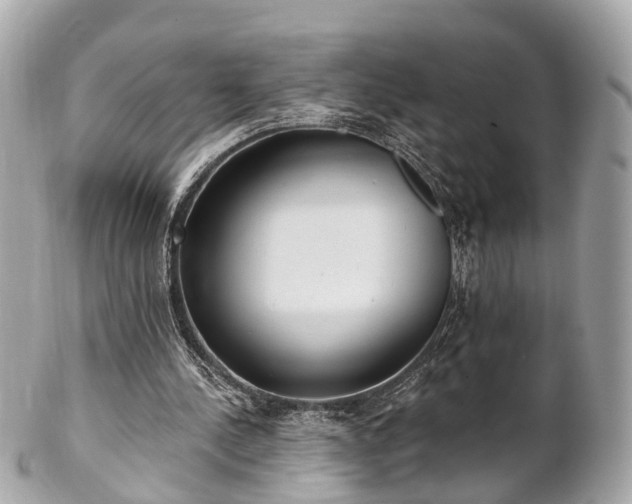 X0000102500244200808151528