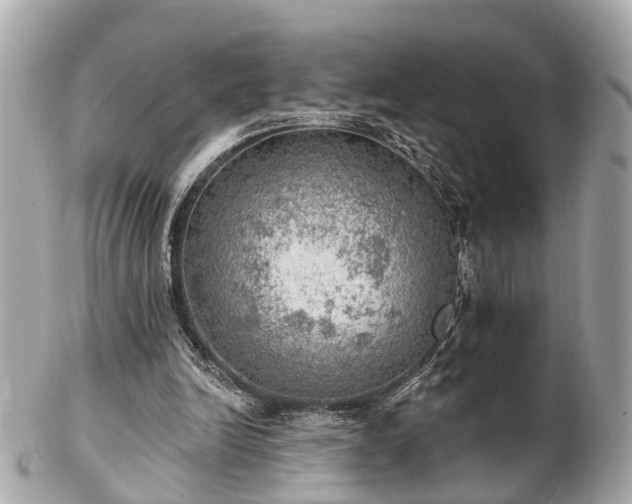 X0000102500246200808151528