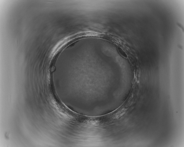 X0000102500247200808151528