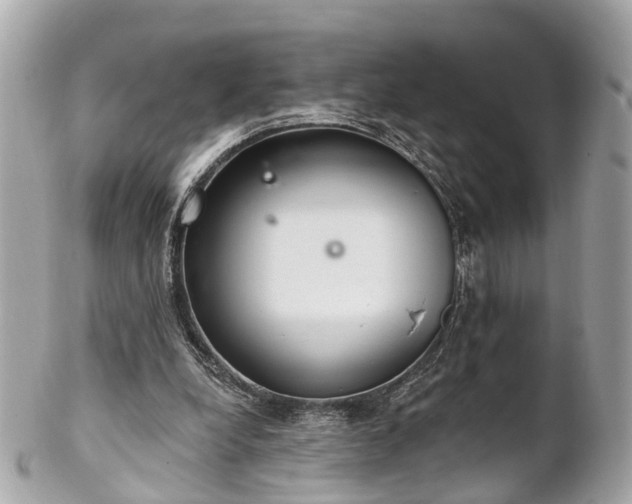 X0000102500248200808151528