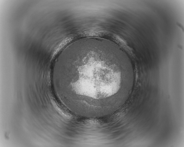 X0000102500250200808151528