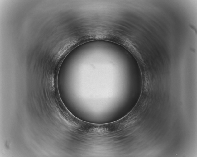 X0000102500251200808151528