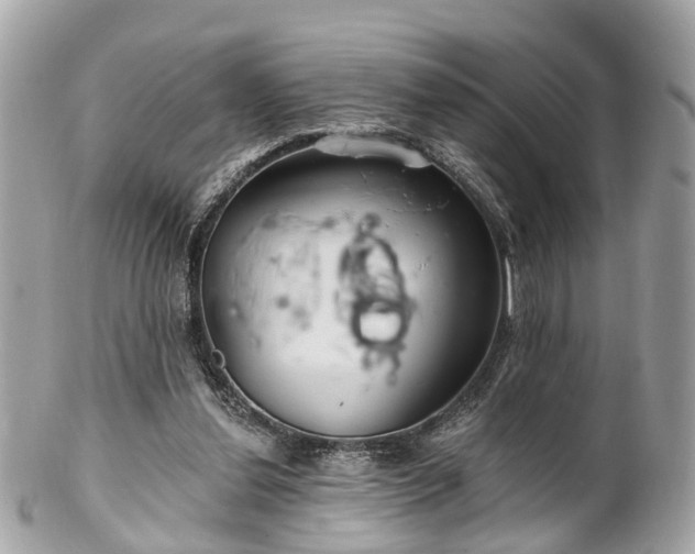 X0000102500252200808151528