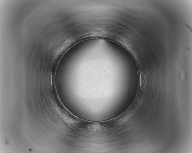 X0000102500253200808151528