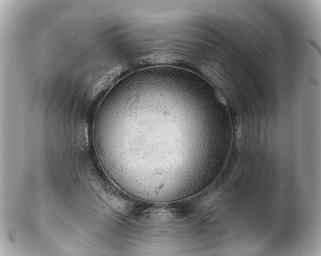 X0000102500254200808151528