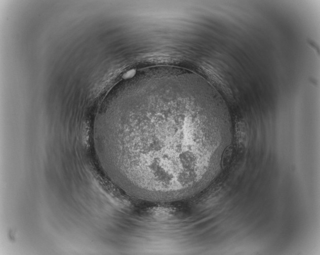 X0000102500255200808151528