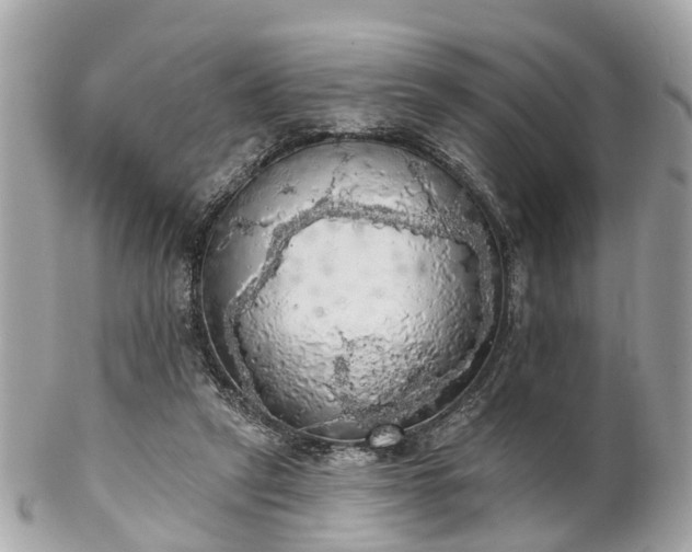 X0000102500257200808151528