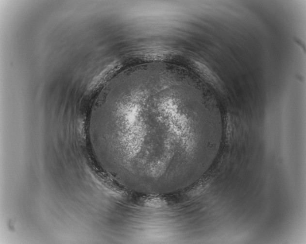 X0000102500258200808151528