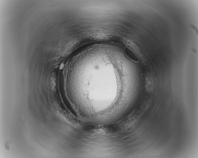 X0000102500259200808151528