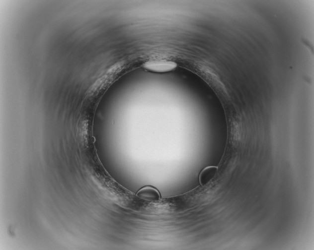 X0000102500260200808151528