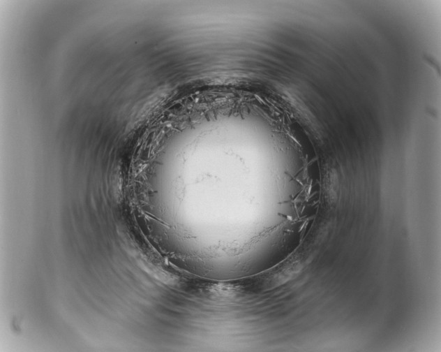 X0000102500261200808151528