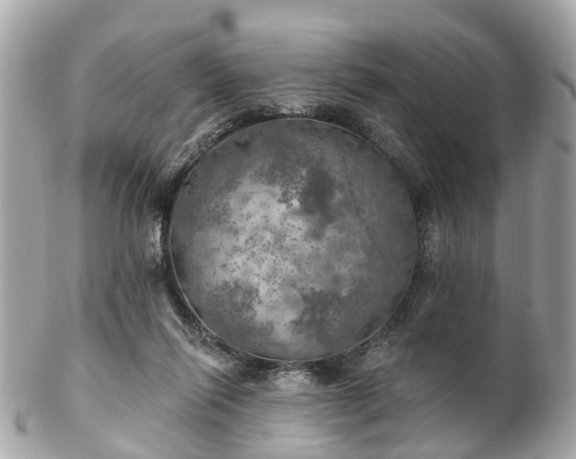 X0000102500262200808151528