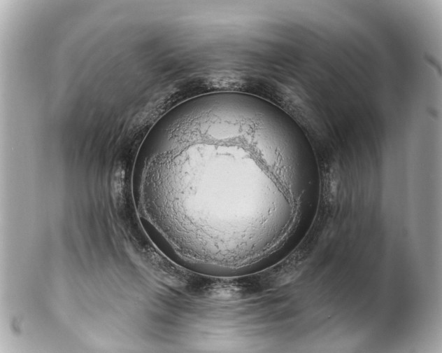 X0000102500263200808151528