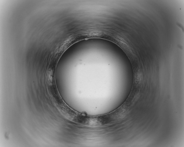 X0000102500264200808151528