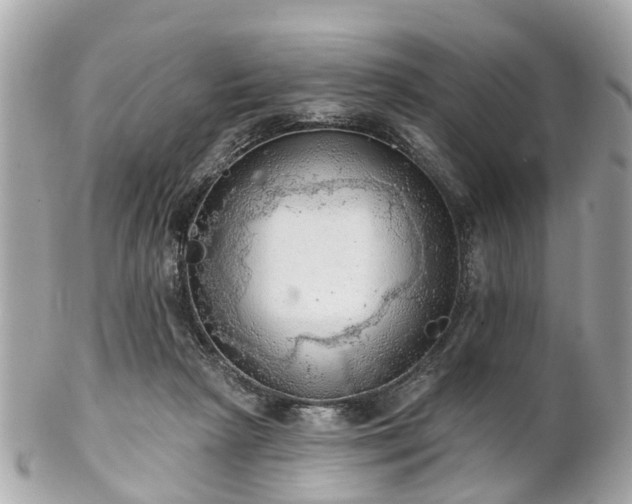 X0000102500265200808151528