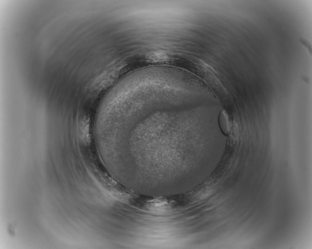 X0000102500267200808151528