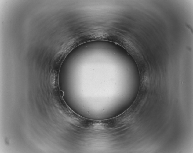 X0000102500268200808151528