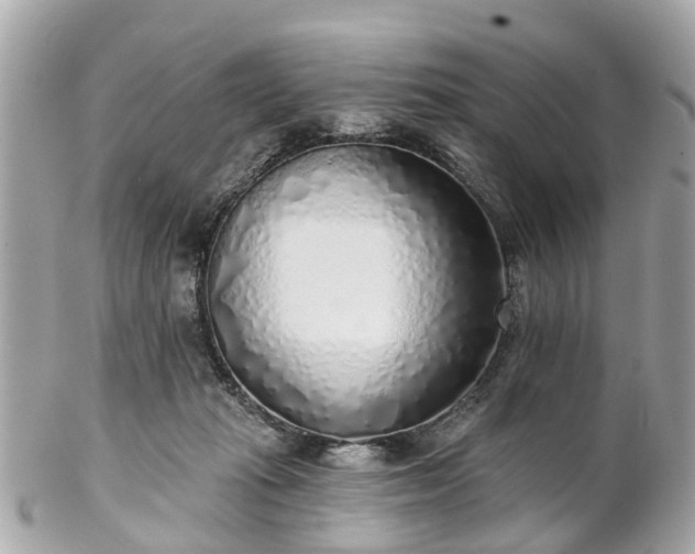 X0000102500269200808151528