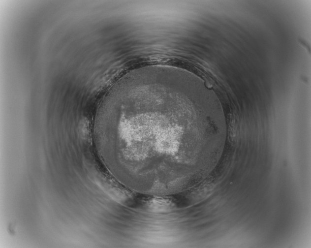 X0000102500270200808151528