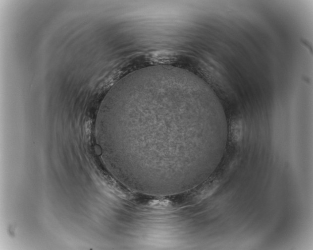 X0000102500271200808151528