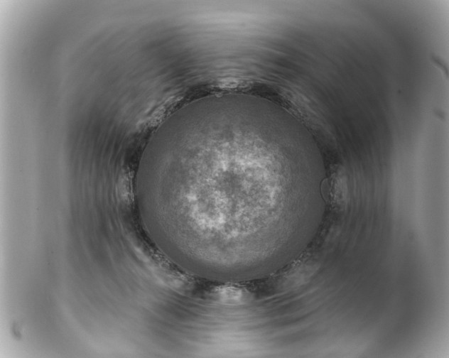 X0000102500272200808151528