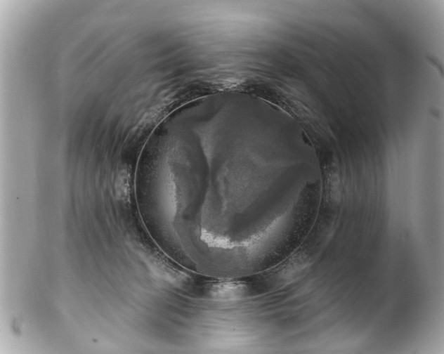 X0000102500274200808151528