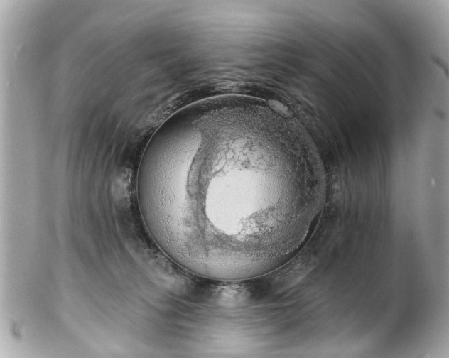 X0000102500275200808151528