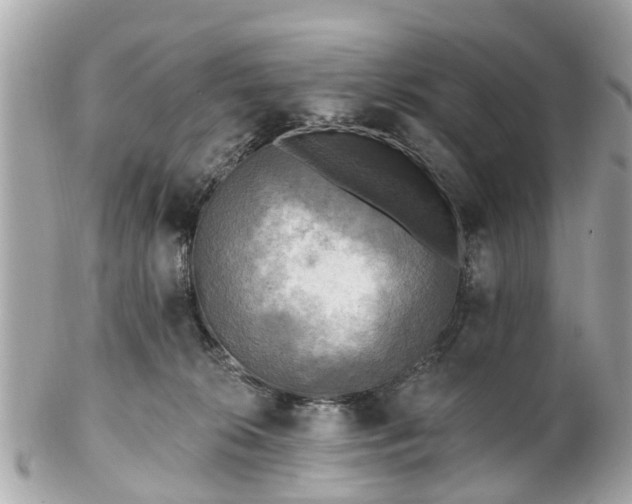 X0000102500276200808151528