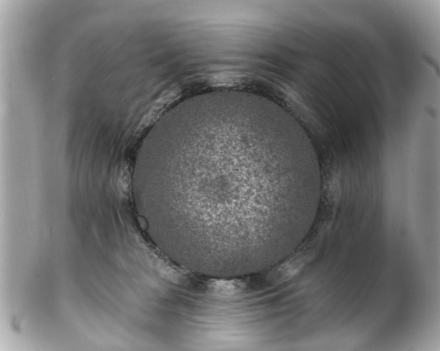 X0000102500277200808151528