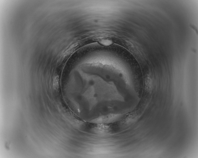 X0000102500278200808151528