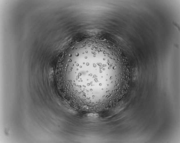 X0000102500279200808151528