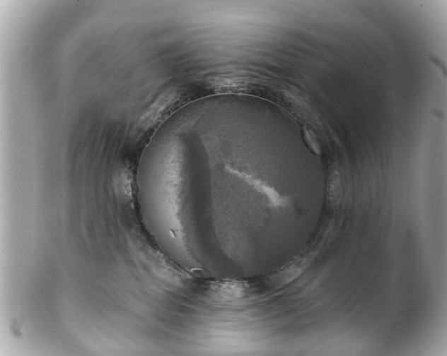 X0000102500282200808151529