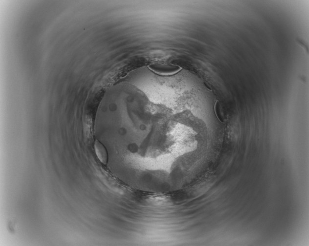 X0000102500283200808151529