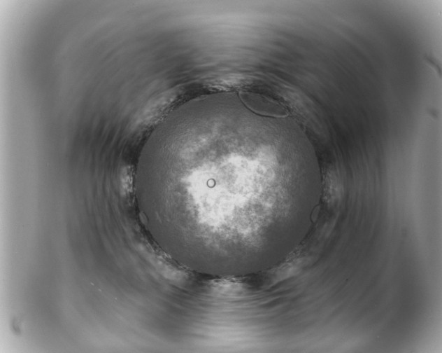 X0000102500284200808151529