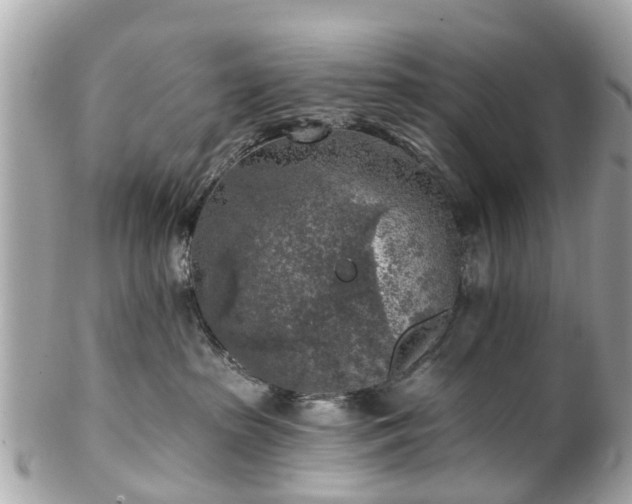 X0000102500285200808151529