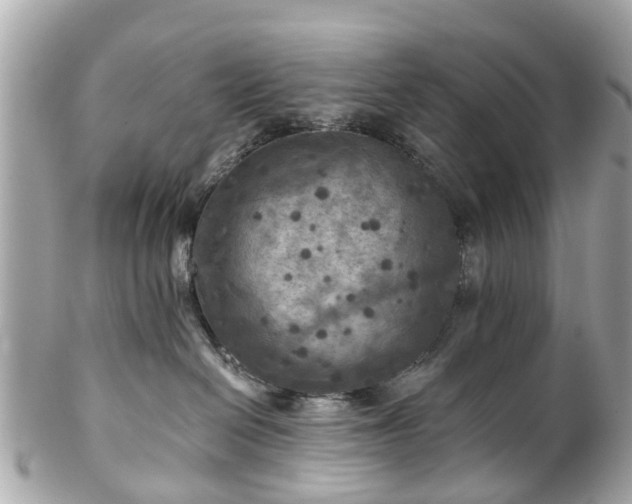 X0000102500286200808151529