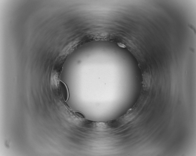 X0000102500287200808151529