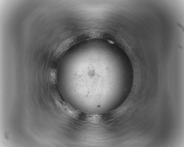 X0000102500288200808151529