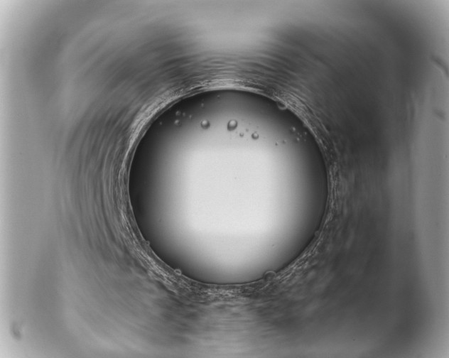 X0000102500289200808151528