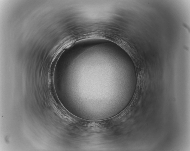 X0000102500290200808151528