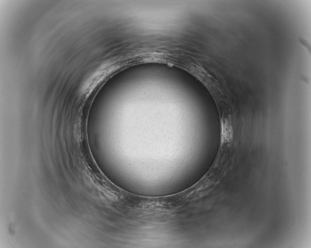 X0000102500291200808151528