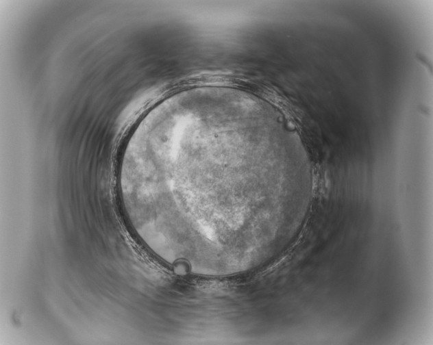 X0000102500293200808151528