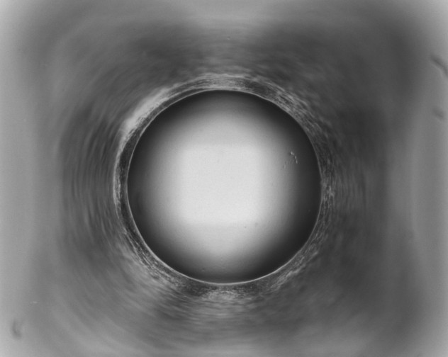 X0000102500294200808151528