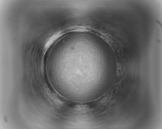 X0000102500296200808151528