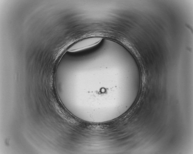 X0000102500297200808151528