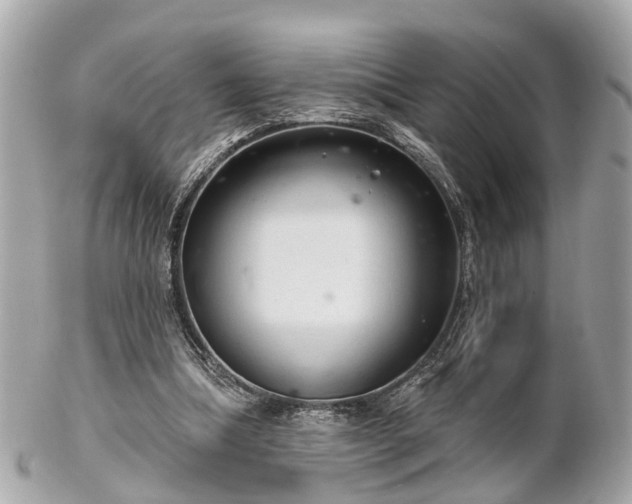 X0000102500298200808151528