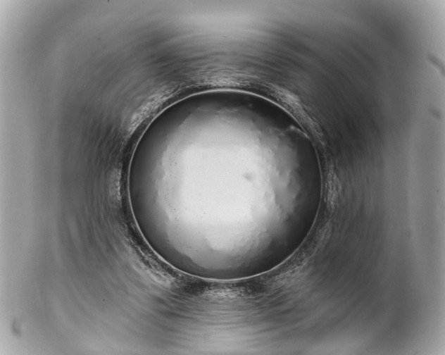 X0000102500299200808151528